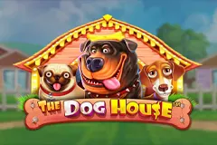 Playing The Dog House Slot will bring you a lot of positive experiences.