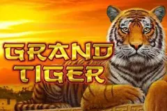 Play the magnificent Grand Tiger slot.
