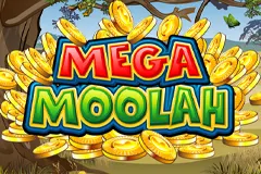 Play and win in the exciting Mega Moolah slot.