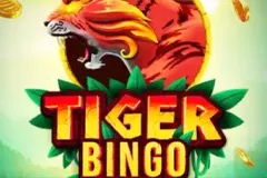 Play the thrilling Tiger Bingo slot.
