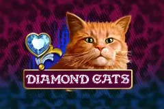 Follow the link and play the Diamond Cats Slot.