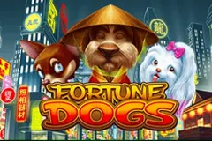 Try the colourful and interesting Fortune Dogs Slot.