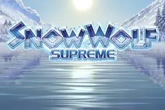 Play the magnificent Snow Wolf Supreme slot.