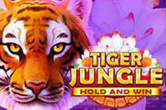Play the Tiger Jungle Hold and Win Slot here.