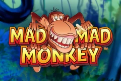 Explore the jungle with the Mad Mad Monkey slot.