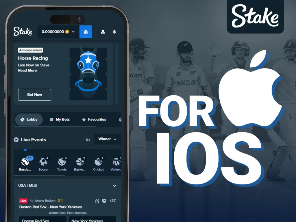 Stake accessible on iOS via web browser.