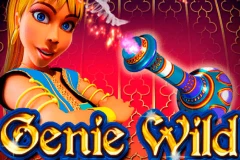 Play Genie Wild slot and win.