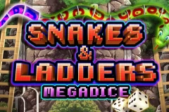 Snakes and Ladders Megadice is an 8-bit slot from Reel Kingdom.
