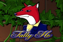 Play the British fox themed Tally Ho slot.