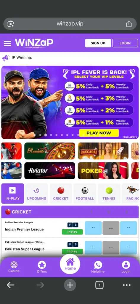 Go to the menu of your browser on the Winzap page.